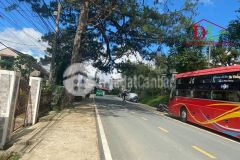 Bán đất gần lời của gió đà lạt giá tốt nhất khu vực ạ