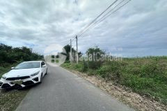 Bán đất mặt tiền đường thành hồ diên phước giá rẻ view hồ
