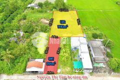 Mặt đường nguyễn thị tầm cách 833 chợ binh lãng 450m