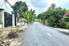 200m2 đất thổ mặt tiền lý thị chừng, xã phú hòa đông, củ chi giá 1,95 tỷ