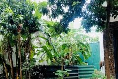 Đầu tư giữ tiền, đất đẹp 117m², đường 5m, ngang khủng 5m, lã xuân oai, tăng nhơn phú a, giá chỉ 6,5