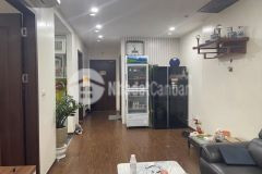 Hiếm chung cư homeland 63m 2pn2vs mới full nội thất 3,95tỷ