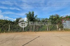 Bán đất khánh phú gần full thổ cư gần khu công nghiệp sông cầu tặng vườn bưởi đã cho quả