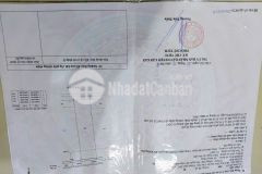 Bán đất mặt tiền duyên hải, long hòa, cần giờ 24 x 95, giá 25 triệum2.