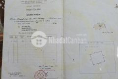 Bán đất thổ cư duyên hải, x. long hòa, cần giờ 25 x 65, giá 15,8 tỷ.