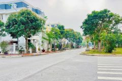 Bán đất biệt thự mặt phố nguyễn khoái, ph tân bình, tp hải dương, 161m2, mt 11.5m, vị trí đẹp