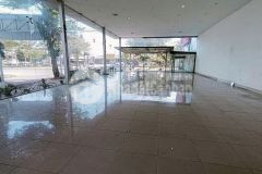 Cho thuê nhà trệt lửng góc 3 mặt tiền võ nguyên giáp ngang 10m giá 45 triệu