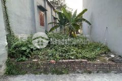 Hàng hot kiêu kỵ, gia lâm giáp vin giá 50trm2