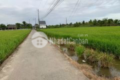 Đất thổ cư, tại an nhựt tân,tân trụ,long an.