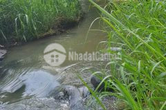 Kẹt tiền cần nhượng lại mảnh đất vườn long khánh 2000m2