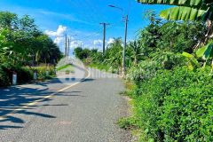 Mặt tiền nhựa lộ đình 9m thuộc xã bình trinh đông, huyện tân trụ, long an