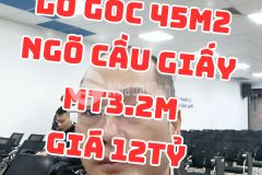 Nhà 7t lô góc ngõ cầu giấy 45m2 mt 3.2m giá 12 tỷ.