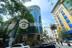 Bán tòa văn phòng vip lô góc phố dịch vọng hậu, dt 297m2. vị trí đẹp. gb 245 tỷ