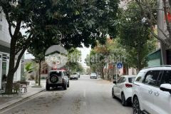 Bán đất mặt đường kđt vạn phúc, ph thanh bình, tp hd, 80m2, mt 4m, đường 13.5m, vị trí đẹp, giá ok