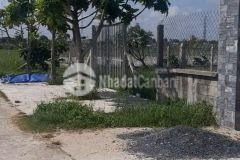 542m2 đất vườn vuông vức, hẻm 2 xẹt quốc lộ 22 xã phước thạnh, huyện củ chi giá 1,9 tỷ