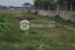 4500m2 đất mặt tiền đường nhựa xã đức lập hạ, đức hòa có 800m2 thổ giá 12,99 tỷ