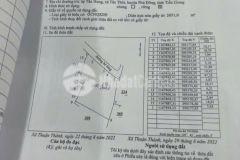 2500m2 đất lúa xã thuận thành, huyện cần giuộc giá 2,5 tỷ
