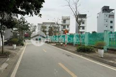 Đất đẹp hiếm đường ô tô tránh giá đầu tư tdc thượng thanh dt 50m2. giá 186 triệu m2