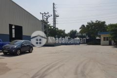 Cho thuê nhà kho 2000m2 200m2 bãi đỗ xe, tại hoà vang giá chỉ 100 triệu