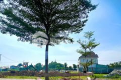 Cần bán gấp đất nền củ chi, giá chỉ từ 1 tỷ 99, diện tích 99.6m².