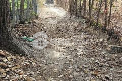 Chính chủ cần tiền bán gấp 1,5ha đất long sơn giá 1,8trm2