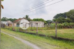 1100m2 đất vườn 2 mặt tiền đường đá xã đức lập hạ, đức hòa giá 4,35 tỷ