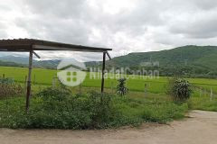 Đất thổ cư hòa vang view cánh đồng, khu dân cư hiện hữu, giá tốt