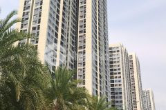 Đất đẹp đ.17 nguyễn văn tăng tp. thủ đức, chỉ 3.8tỷ dt 89m2