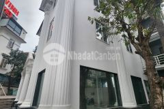 Bán nhà trần thủ độ. hoàng mai. thang máy. ô tô. vỉa hè. dt 750m2. mt 40m. giá 100 tỷ.