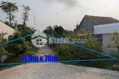 Bán đất chợ mới, an giang, dt 1031m2 có 473m2 thổ chỉ từ 2tr6m2. lh0782332075