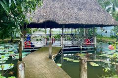 Nhà vườn nghỉ dưỡng xã trung lập hạ, củ chi tổng dt 1700m2 có 300m2 thổ giá 10 tỷ