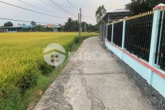 Thổ cư ngay trung tâm thị trấn tân trụ ra tuyến 827e chỉ 200m