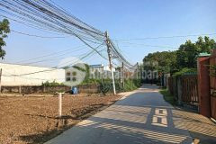 300m2 đất thổ hẻm ấp bình tả 2, xã đức hòa hạ góc 2 mặt tiền đường beton giá 2,4 tỷ