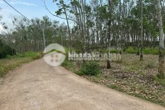 Bán đất sổ sẵn xã cẩm đường long thành đồng nai