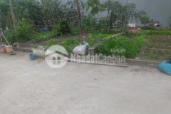 Bán mảnh đất đẹp tại ngô xuân quảng, tt trâu quỳ, gia lâm 33,5 m² 135 trm²