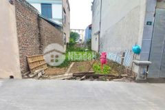 Đất gần bìa làng tuân lề tiên dương đông anh dt 91m² mt 5m đường thông ô tô tránh