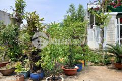 Nợ bán bán gấp đất thạnh xuân quận 12 107m2 hẻm 6m, chỉ nhỉnh 4 tỷ