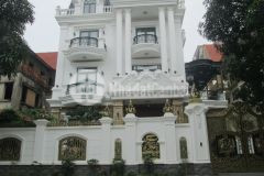 Cực rẻ biệt thự kđt pháp vân view vườn hoa gần phố trần thủ độ 368m2 chỉ 48.9 tỷ. 0989626116