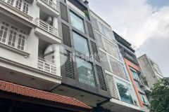 Bán siêu phẩm nhà đẹp lạc long quân 90m2 x 4t x mt 6m phân lô gara oto hướng dn