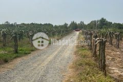 Bán đất lô 2 đường hoàng diệu nối dài phường tân an thị xã lagi