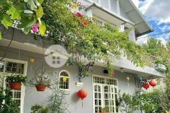 Bán đất biệt thự đường phó đức chính thành phố đà lạt cung đương đẹp lắm đà lạt chỉ 27 tỷ