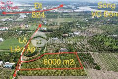 6000m2 đất lúa xã lương hòa, bến lức giá 10,8 tỷ