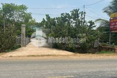 Bán đất thổ cư ngợp gần biển đường ql 55 xã thắng hải huyện hàm tân cách biển 1,9 km