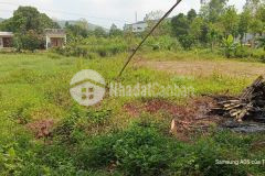 Mua đất trồng cây hàng năm hòa nhơn hòa vang đà nẵng