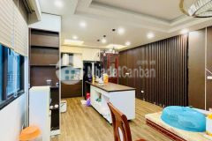 Siêu phẩm phố lạc long quân 66m2 6t thang máy lô góc 2 mặt ô tô đỗ hiếm quận tây hồ