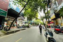 Bán gấp nhà phố đặng văn ngữ, phân lô, ô tô tránhdt 60m2, 5 tầng, mt 5m, 12.5tỷ