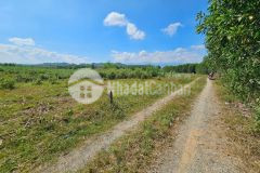 Bán đất vườn diên xuân giá rẻ sát bên trục đường nhựa liên xã cách chợ đất sét chỉ 900m