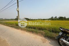 Mt đường trần bá ân xã tân bình, tân trụ long an dt 5x30 150m2 giá 620tr