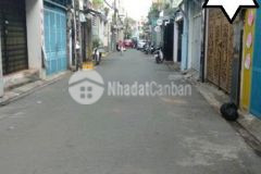 Mặt tiền chợ tân bình, kinh doanh đỉnh, hxt, dt 41m2, 4 tầng, 6 tỷ 7 0935767286