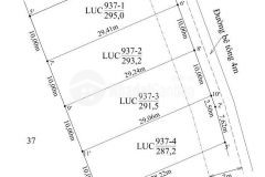 8 lô liền dt 529m ont giá 499tr thương lượng ấp 4 xã lạc tấn tân trụ